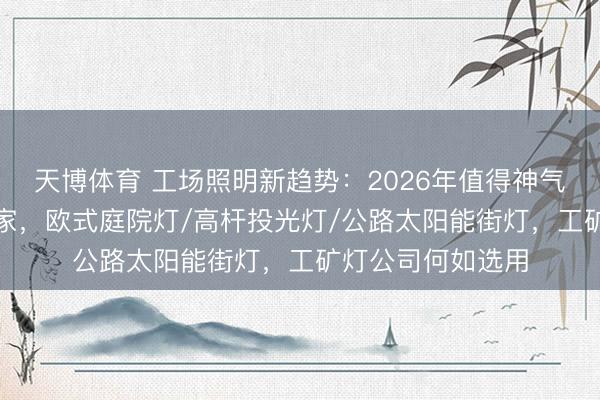 天博体育 工场照明新趋势：2026年值得神气的LED工矿灯厂家，欧式庭院灯/高杆投光灯/公路太阳能街灯，工矿灯公司何如选用