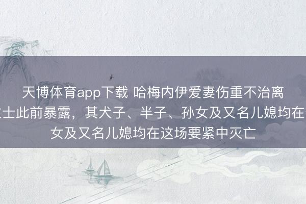 天博体育app下载 哈梅内伊爱妻伤重不治离世!知情东谈主士此前暴露,其犬子、半子、孙女及又名儿媳均在这场要紧中灭亡