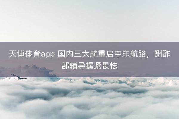 天博体育app 国内三大航重启中东航路,酬酢部辅导握紧畏怯