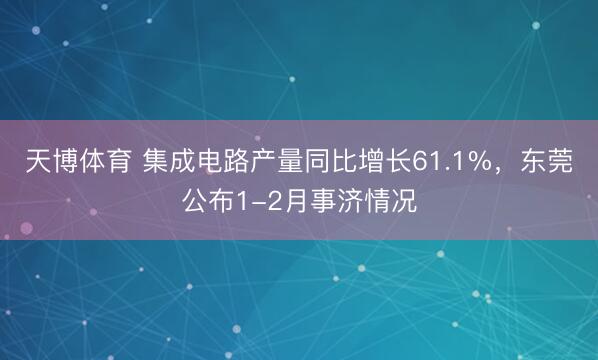 天博体育 集成电路产量同比增长61.1%,东莞公布1-2月事济情况