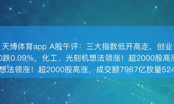 天博体育app A股午评：三大指数低开高走，创业板指涨0.49%北证50跌0.09%，化工、光刻机想法领涨！超2000股高涨，成交额7987亿放量524亿