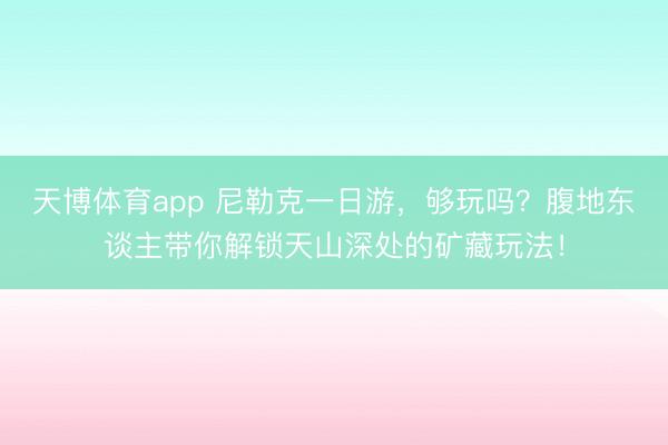 天博体育app 尼勒克一日游，够玩吗？腹地东谈主带你解锁天山深处的矿藏玩法！