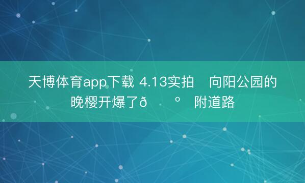 天博体育app下载 4.13实拍❗向阳公园的晚樱开爆了🗺️附道路