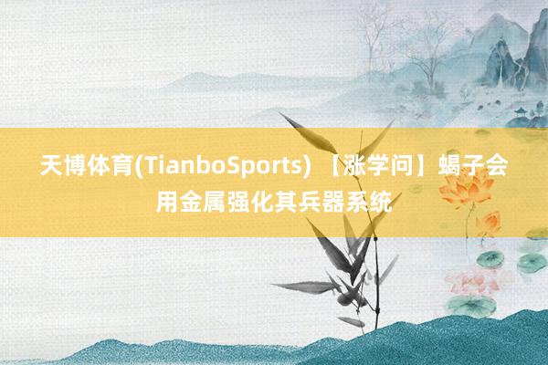 天博体育(TianboSports) 【涨学问】蝎子会用金属强化其兵器系统