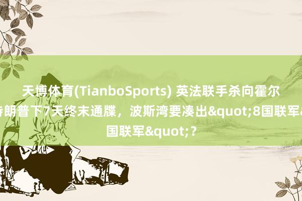 天博体育(TianboSports) 英法联手杀向霍尔木兹!特朗普下7天终末通牒,波斯湾要凑出"8国联军"?