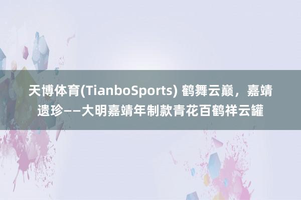 天博体育(TianboSports) 鹤舞云巅，嘉靖遗珍——大明嘉靖年制款青花百鹤祥云罐