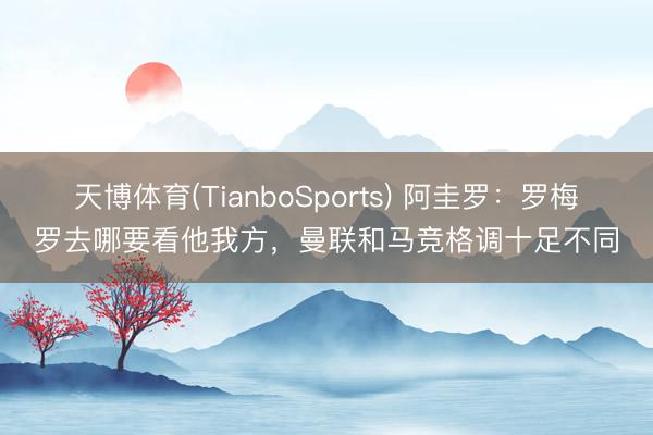 天博体育(TianboSports) 阿圭罗：罗梅罗去哪要看他我方，曼联和马竞格调十足不同