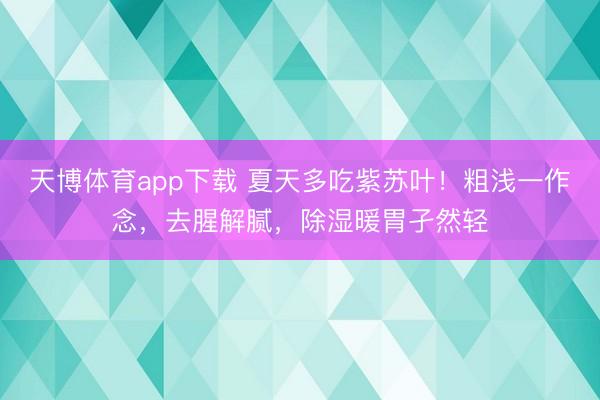 天博体育app下载 夏天多吃紫苏叶！粗浅一作念，去腥解腻，除湿暖胃孑然轻
