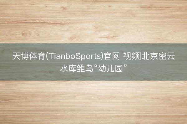 天博体育(TianboSports)官网 视频|北京密云水库雏鸟“幼儿园”