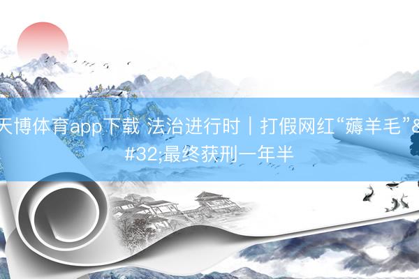 天博体育app下载 法治进行时｜打假网红“薅羊毛” 最终获刑一年半
