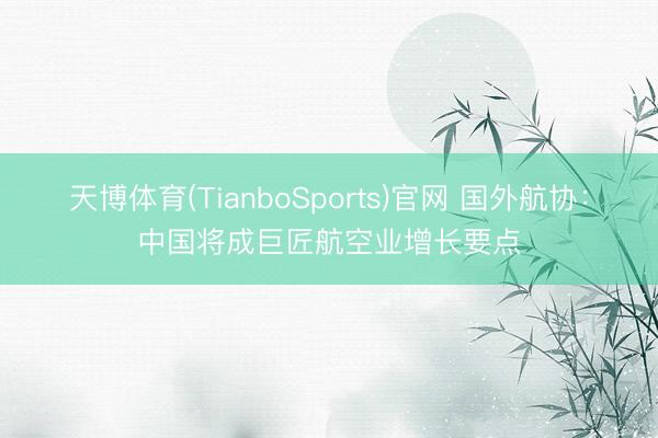 天博体育(TianboSports)官网 国外航协：中国将成巨匠航空业增长要点